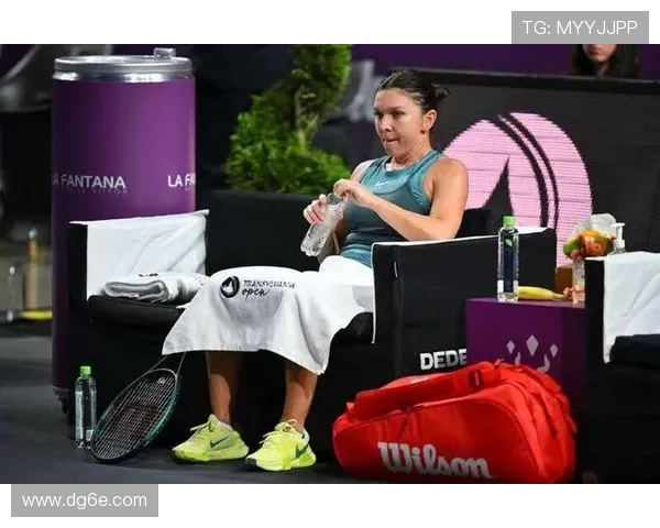 网球名将赛季收官战展望 新星崭露头角老将能否再度闪耀